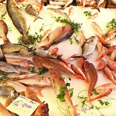 Ballaro's View Daire Palermo